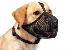 Dog Muzzle Mayerzon Patented Mesh Soft Muzzle for Large and Small Dogs-0