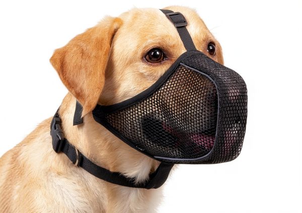 Dog Muzzle Mayerzon Patented Mesh Soft Muzzle for Large and Small Dogs-0