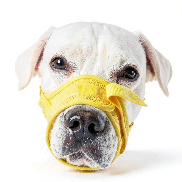 Dog Muzzle Adjustable Soft Cotton Mesh Breathable Lightweight M to XL-4