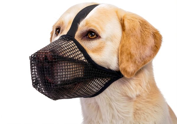 Crazy Felix Dog Muzzle, Soft Mesh Muzzle for Small Medium Large Dogs Labrador German Shepherd, Breathable Adjustable Mouth Guard for Biting Chewing Scavenging, Allows Panting and Drinking(Balck, L)-0