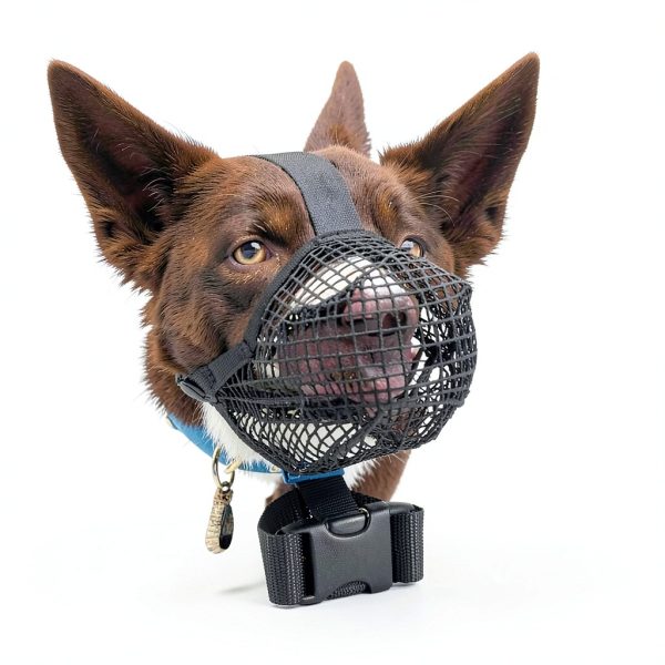 Crazy Felix Dog Muzzle, Soft Mesh Muzzle for Small Medium Large Dogs Labrador German Shepherd, Breathable Adjustable Mouth Guard for Biting Chewing Scavenging, Allows Panting and Drinking(Balck, L)-4