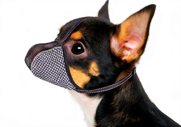 Dog Muzzle Extra Small Soft Air Mesh Adjustable Guard by JOYPAWS Black-0