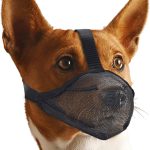 Dog Muzzle Whongkidz Extra Small Air Mesh Mouth Cover Black XS-0