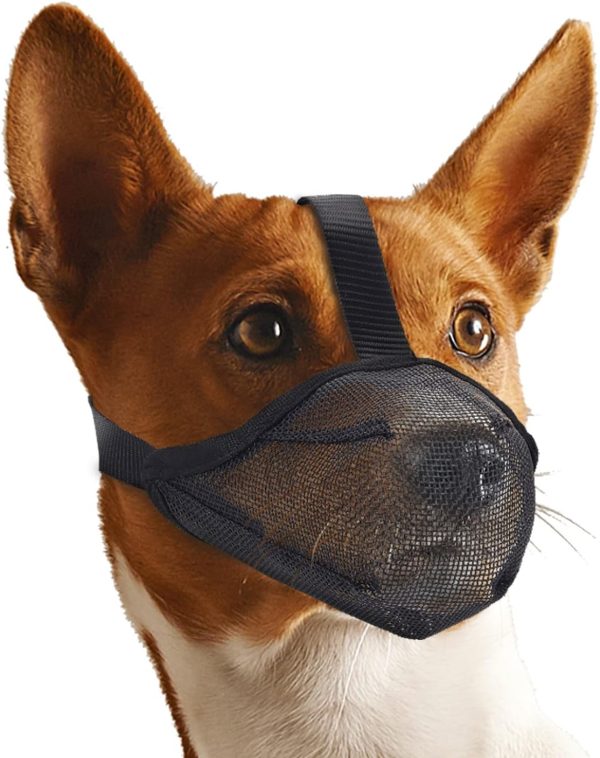 Dog Muzzle Whongkidz Extra Small Air Mesh Mouth Cover Black XS-0
