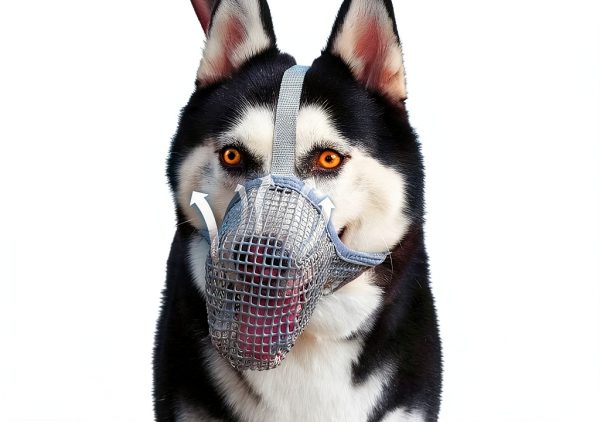 Crazy Felix Dog Muzzle, Soft Mesh Muzzle for Small Medium Large Dogs Labrador German Shepherd, Breathable Adjustable Mouth Guard for Biting Chewing Scavenging, Allows Panting and Drinking(Balck, L)-8
