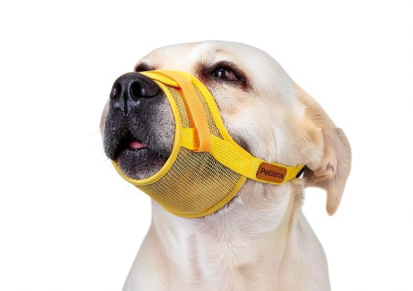 Dog Muzzle Adjustable Soft Cotton Mesh Breathable Lightweight M to XL-3