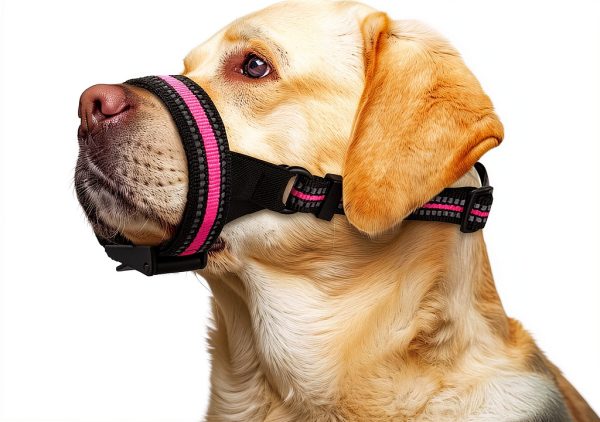 Dog Muzzle Wisle Adjustable Breathable Soft Muzzle for Small Large-0