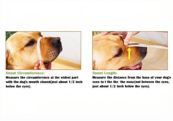 Mayerzon Dog Muzzle, Soft Mesh Muzzle for Small Medium Large Dogs Anti Bite Scavenging, Breathable Adjustable Mouth Guard for German Shepherd Labrador Golden Retriever in Grooming Walking Vet Visits-1
