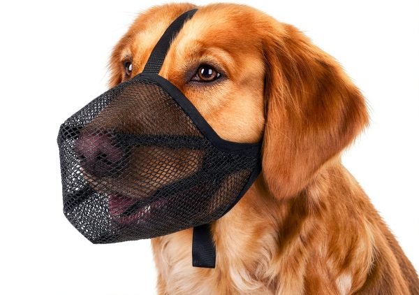Mayerzon Dog Muzzle, Soft Mesh Muzzle for Small Medium Large Dogs Anti Bite Scavenging, Breathable Adjustable Mouth Guard for German Shepherd Labrador Golden Retriever in Grooming Walking Vet Visits-0